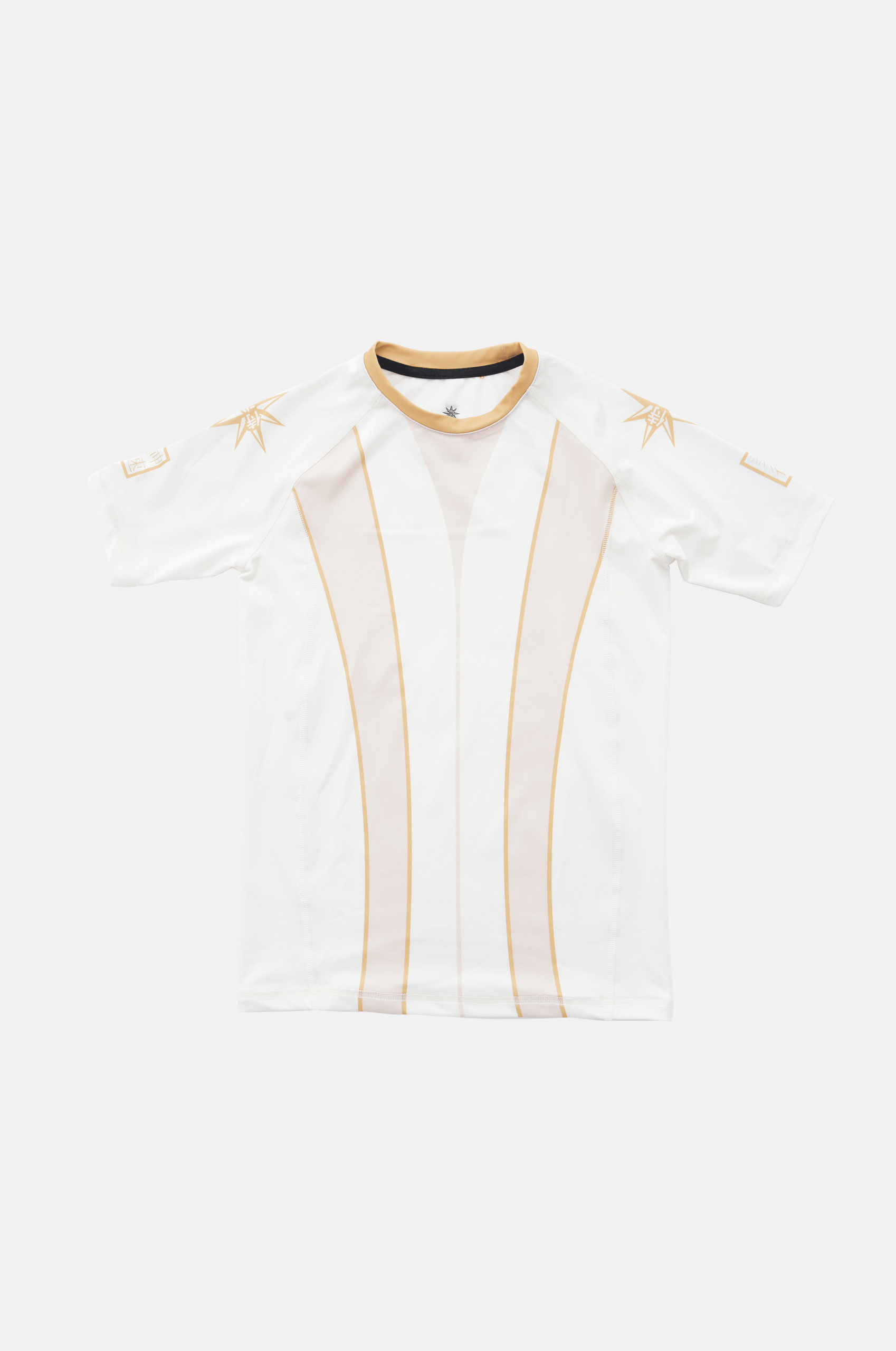 gold rashguard u╠êst